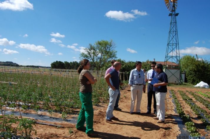 Visita a Huertos de Soria