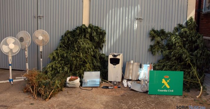 Plantas y material incautado en Los Rábanos. / Subdeleg.