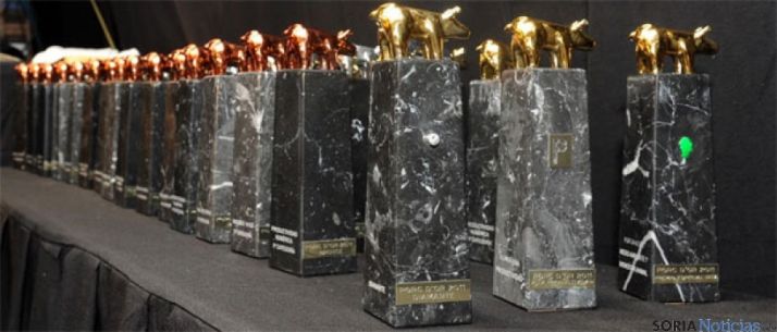 Los galardones, los más importantes del sector en el país. / 3tres3.com 