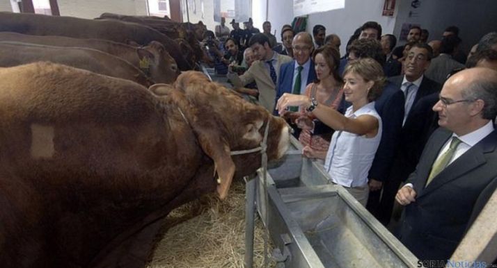La ministra, este jueves en Salamanca. / salamancartvaldia