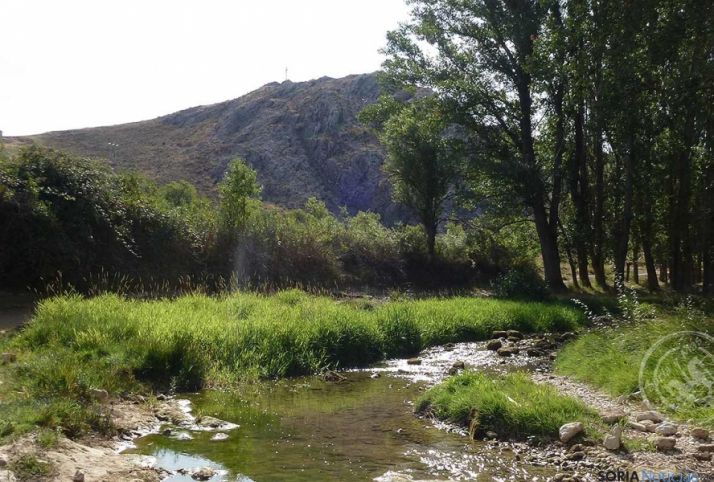 Río Abión en El Burgo. Foto: SyM