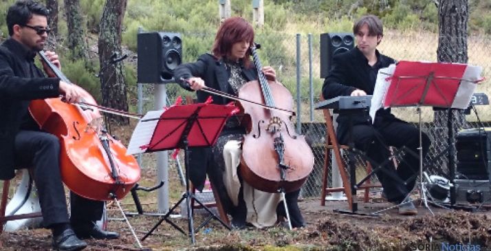 Sinfonía de setas en Navaleno