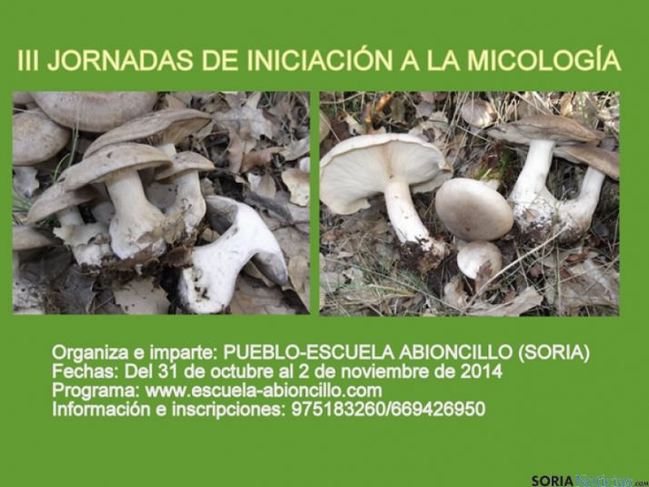 Cartel del curso micológico