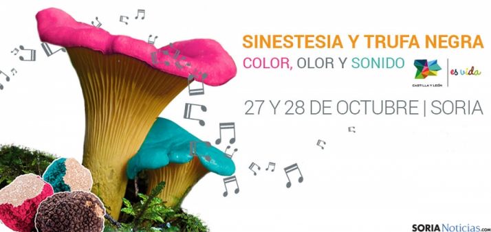 El evento supondrá nuevamente el reconocimiento Soria como lugar micológico. 
