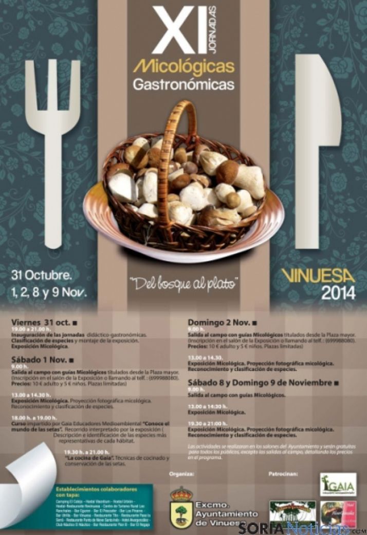 Cartel Jornadas Vinuesa