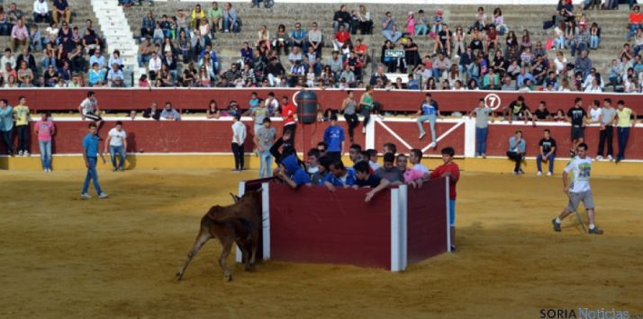 La vaquilla no se amedranta ante el parapeto