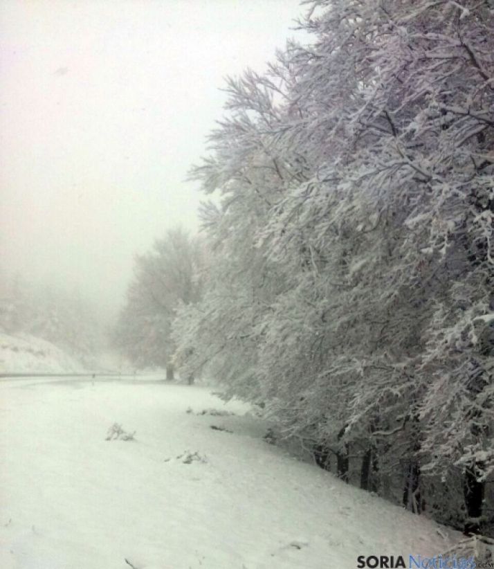 Imagen de la Póveda esta mañana. / SN