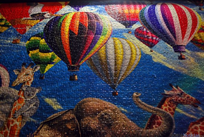 Imagen y detalles del rompecabezas. / SN