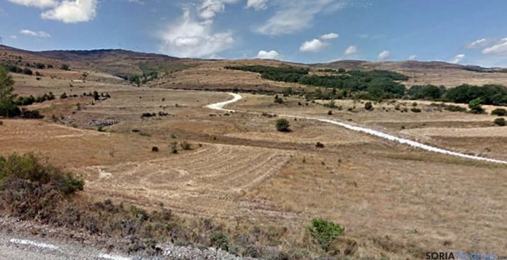 Tierras de labor en Las Aldehuelas. / SN