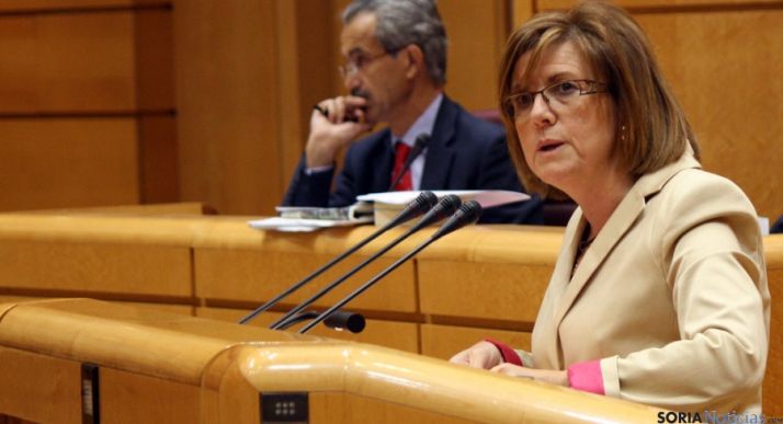 Angulo compareciendo en el Senado. 