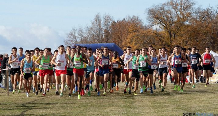 La prueba de 2013. / soriaatletismo.com
