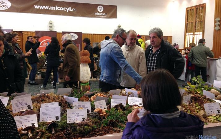 Mercasetas en Covaleda. / Cesefor