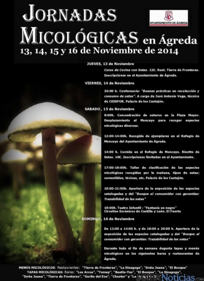 Invitan también a recorrer el hayedo.