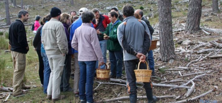 Asociación Micológica de El Royo