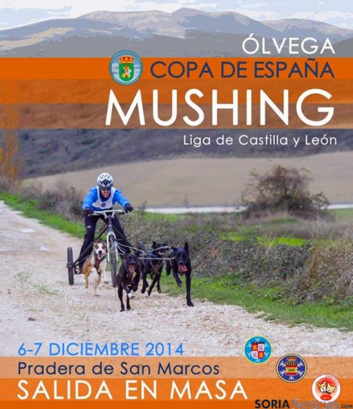 La cita, en la campa de San Marcos.