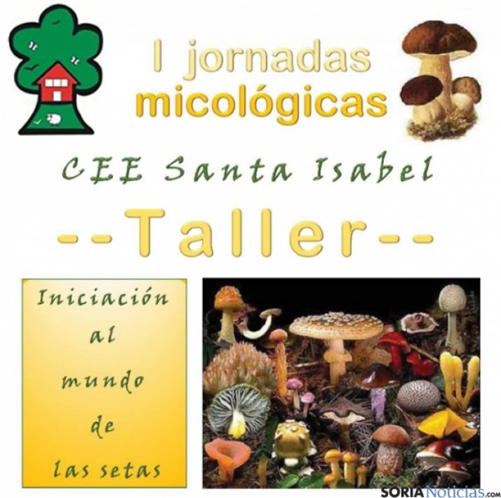 Cartel tiempo de setas