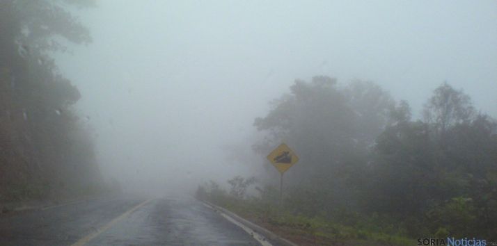 Niebla y carretera