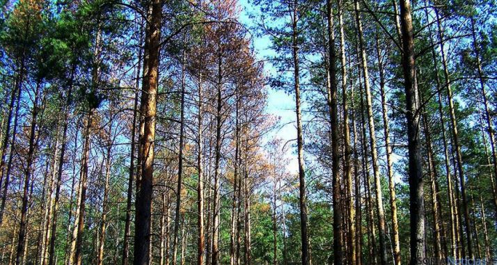 El sindicato considera que es un texto laxo y abierto. / SN