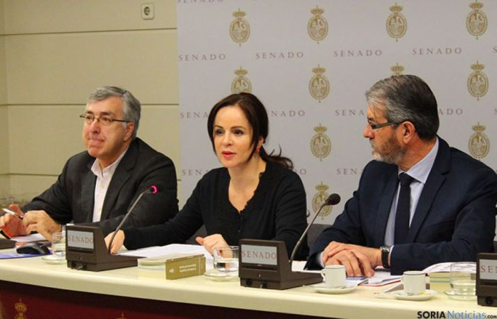 La consejera Silvia Clemente, este lunes en el Senado. / Jta.