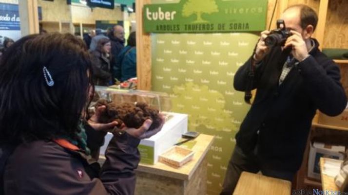 XIII Feria de Abejar