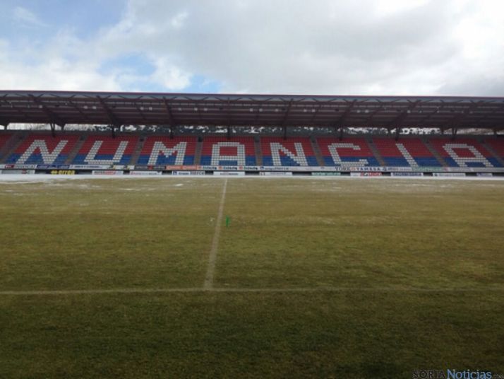 Estado del césped tras retirar la nieve