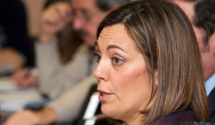 La consejera de Familia e Igualdad de Oportunidades, Milagros Marcos. / SN