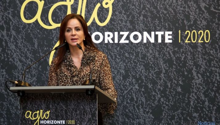 La consejera de Agricultura y Ganadería, Silvia Clemente, este martes. / Jta.