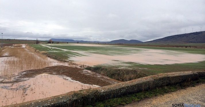 Imagen de campos anegados y cuencas fluviales en la provincia. / ASAJA