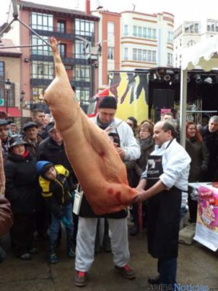 Puercoterapia en Soria