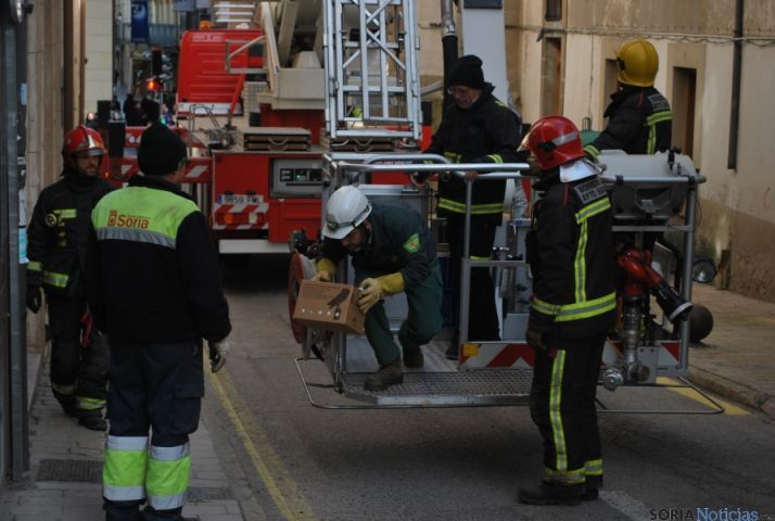 Labores de retirada del nido. / SN 