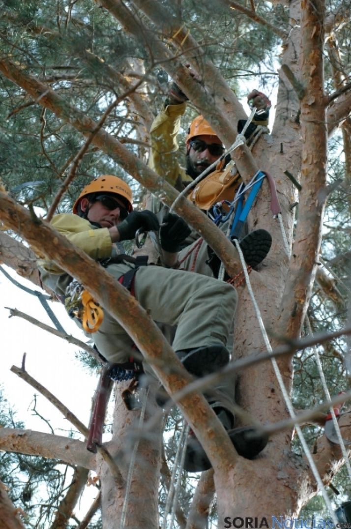Dos de los agentes medioambientales / Jta.