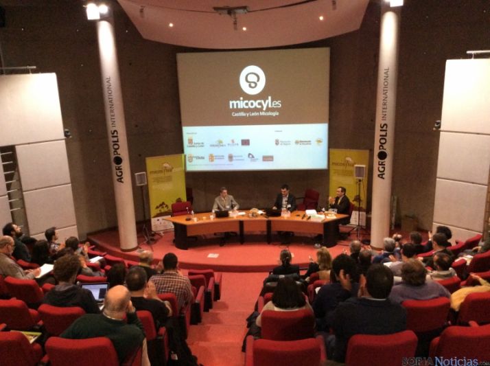 Diversos momentos de la presencia soriana en Montpellier. 