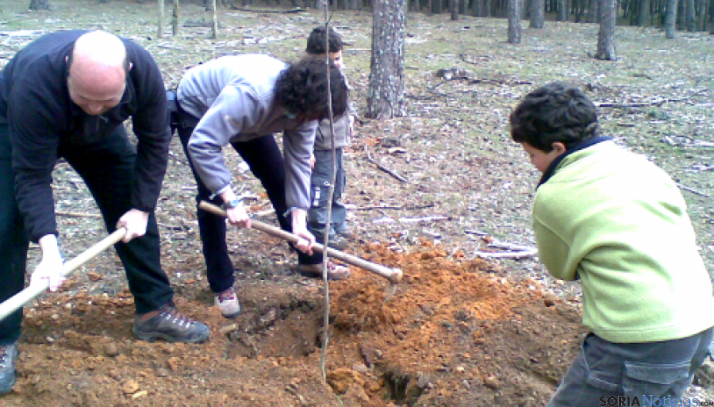 Repoblación en El Amogable con motivo del Día del Árbol