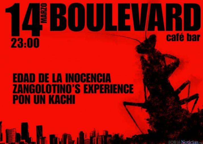 Cartel del concierto