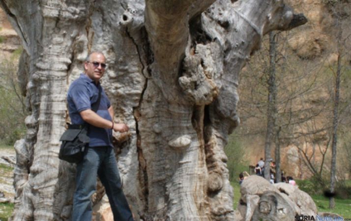 Olma seca en El Cañón