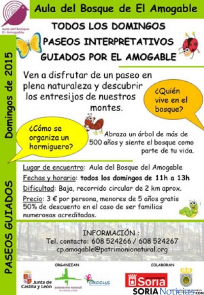 El Aula del Bosque de El Amogable realiza visitas guiadas por el entorno todos los domingos