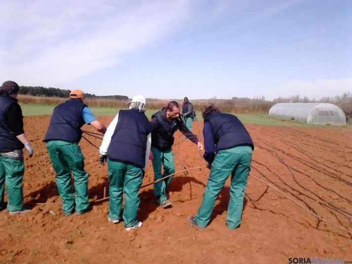 Labores de Huertos de Soria en Fuentepinilla.