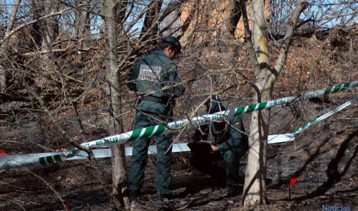 Agentes del Seprona en el lugar incendiado. 