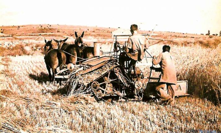 Cartel de la charla. / Ricardo Hdez. Lucas