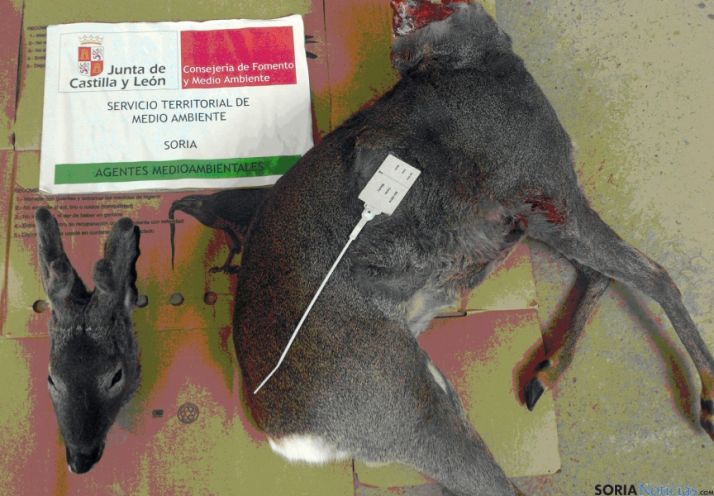 La operación se extiende hasta agosto. / Subdeleg.