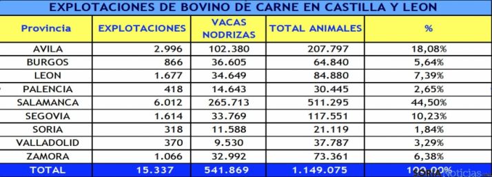 Distribución del vacuno de carne en la región.