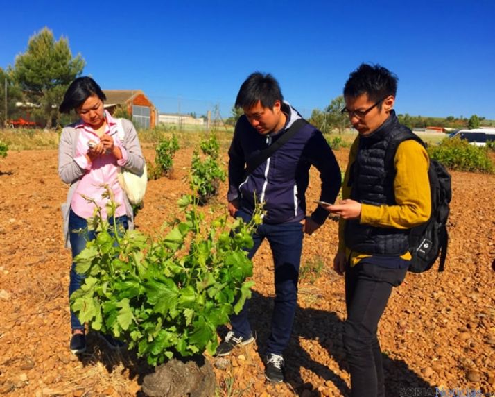Misión de ADE visita de Japón