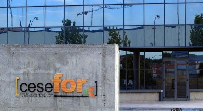 Sede del Cesefor, en el polígono Las Casas. / SN