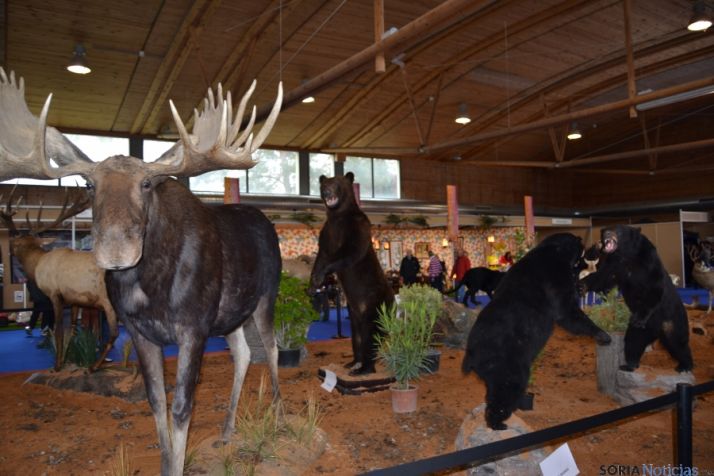 La feria ofrece una espectacular muestra de animales salvajes
