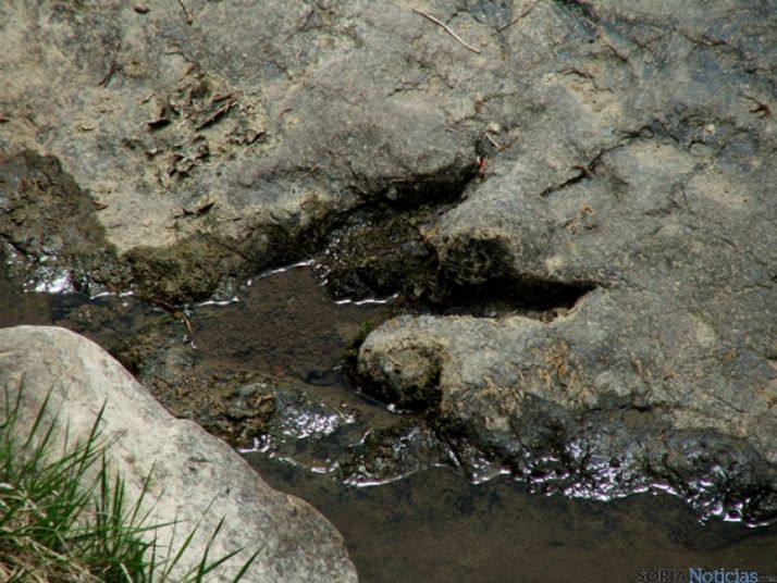 Icnita en Tierras Altas