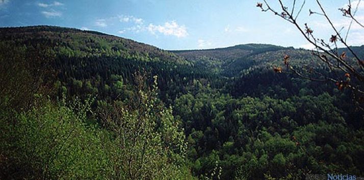 El BOCYL incluye cuatro tipos de subvenciones. 