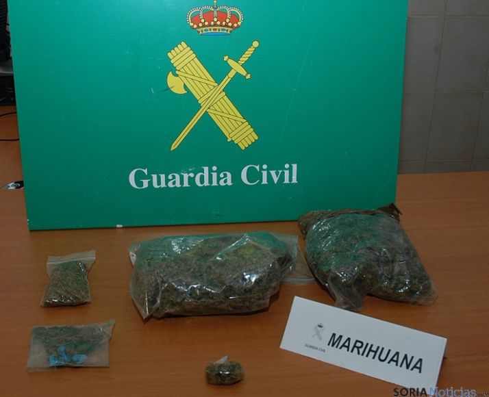 La marihuana aprehendida. / Subdeleg.