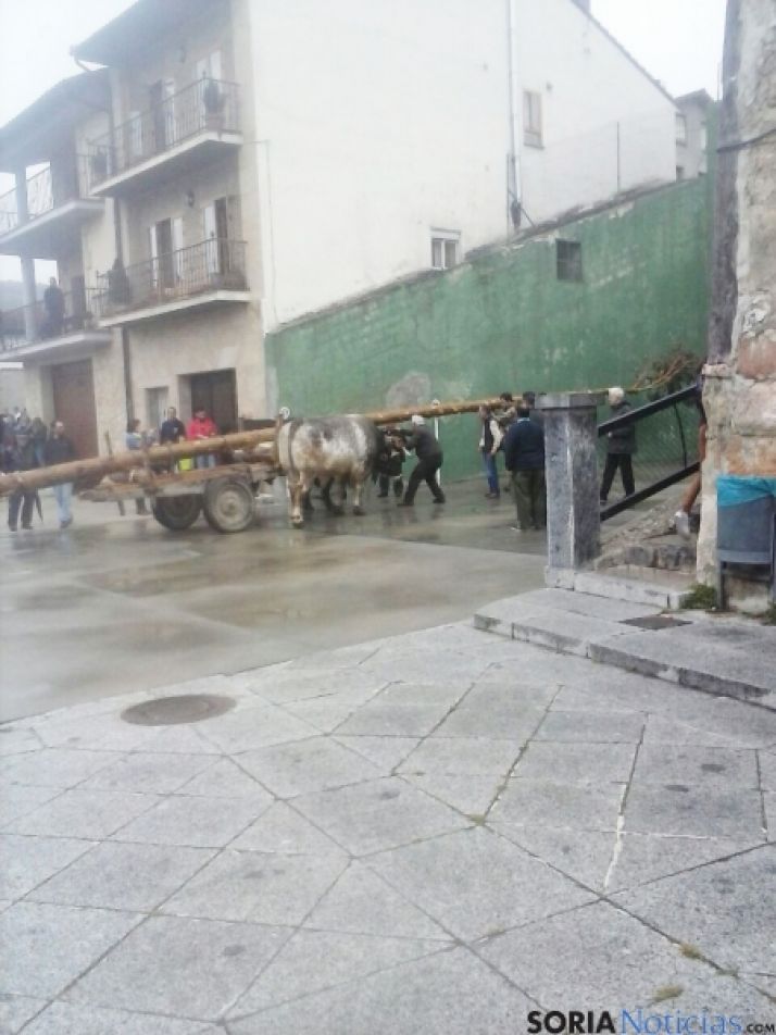 Cabrejas pinga su Mayo