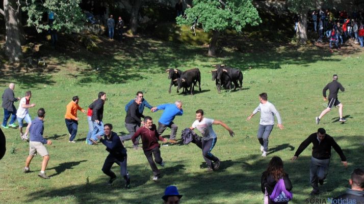 Los mozos tras un arreón de la manada este domingo. / SN