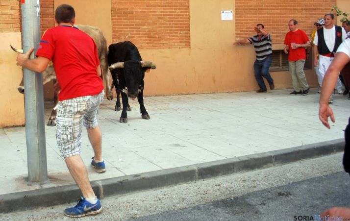 El último de los toros, antes de entrar a La Chata, a las 17.15. / SN 